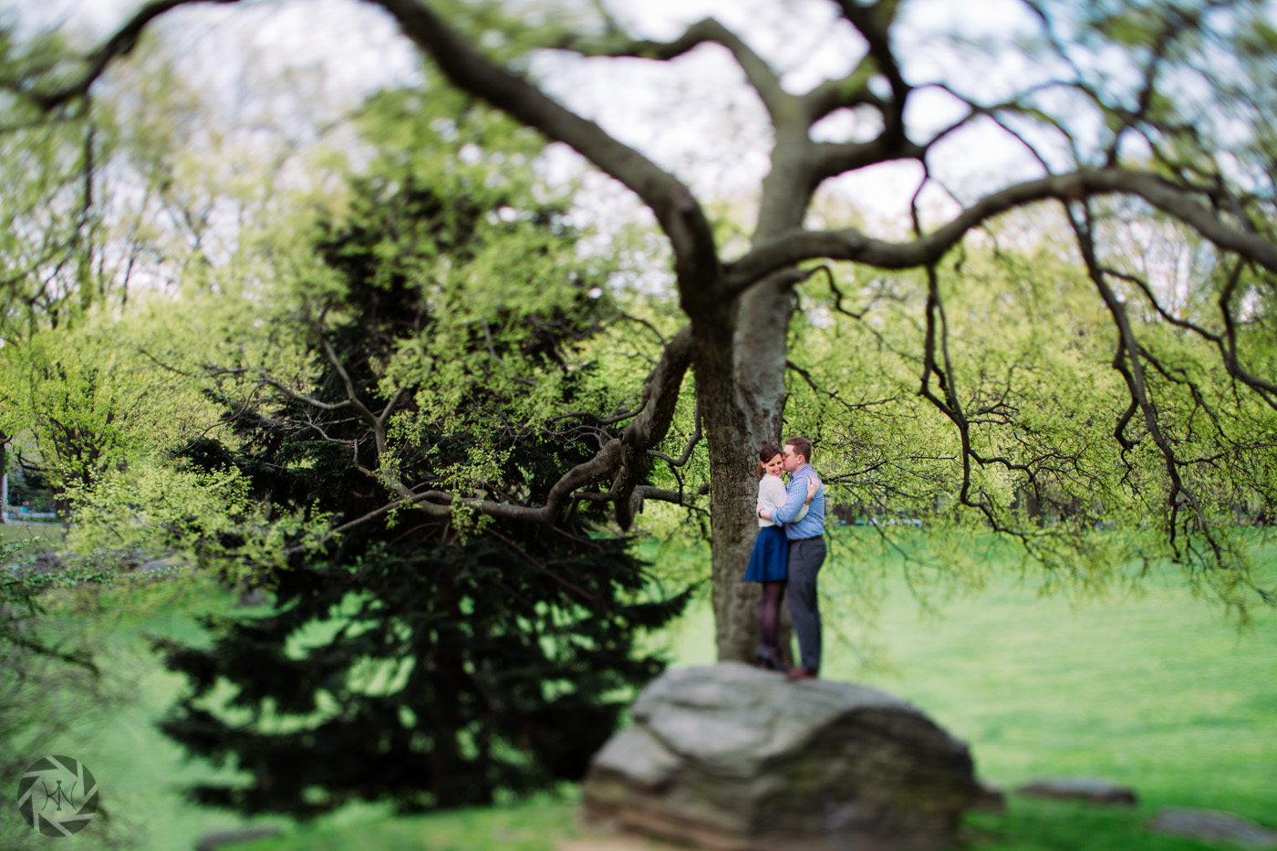 central-park-engagement-photos-dmitriy-lyuba